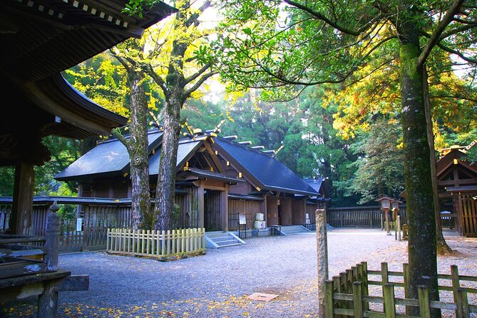 Kyushu Day Trip Miyazaki Takachiho Gorge and Shrine From Fukuoka - Notable Guides and Positive Feedback