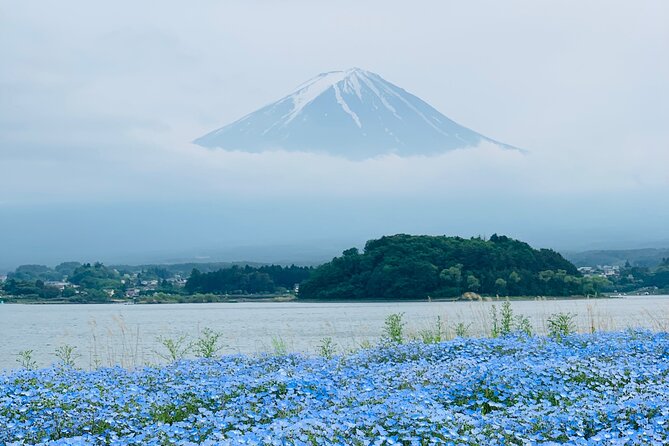 Mount Fuji & Hakone Private Customized Sightseeing English Trip - Discovering Hakone
