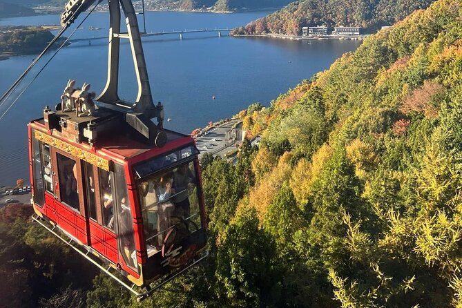 Mt. Fuji Cherry Blossom One Day Private Tour With Pickup - Highlights of the Tour