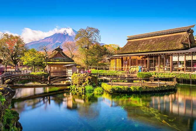 Mt Fuji Exploration Tour With Free Japanese Kusa Mochi From Tokyo - Traveler Feedback