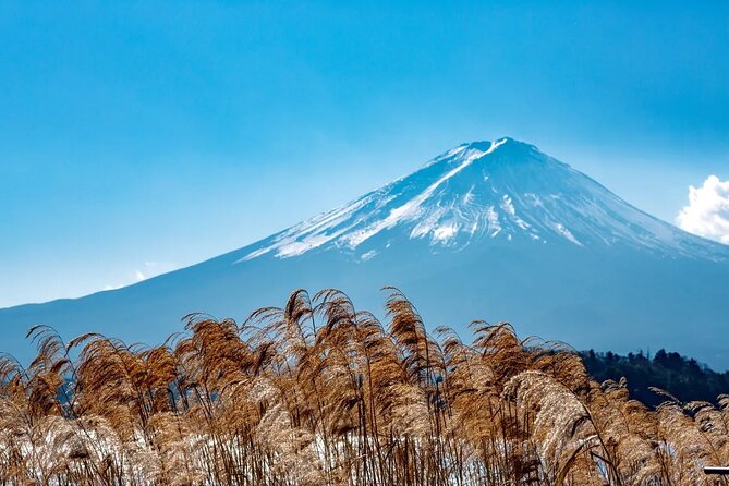 Mt Fuji Gotemba Outlet and Hot Springs Tour From Tokyo - Practical Considerations