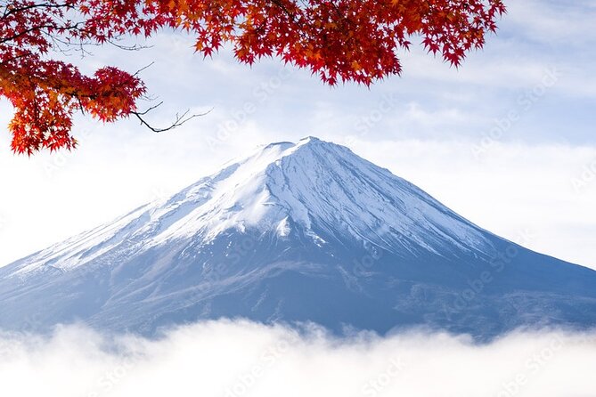 Mt Fuji, Hakone Private Tour by Car Pickup From Tokyo - Itinerary and Experiences