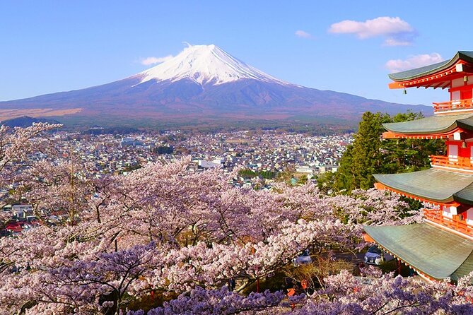 Mt. Fuji Private Car Tour From Tokyo - Traveler Testimonials