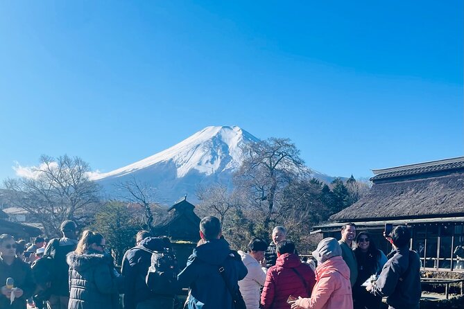 Mt Fuji Private Sightseeing Tour From Tokyo - What to Expect