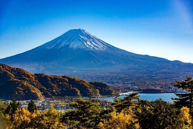 Mt. Fuji Private Tour From Tokyo With English Guide - Payment Options