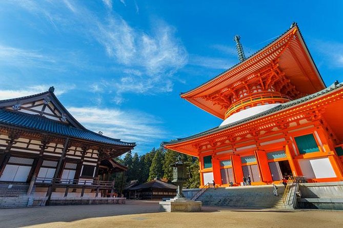 Mt. Koya Sacred Full-Day Private Tour (Osaka Departure) With Licensed Guide - Insights Into the Traditions and Spirituality