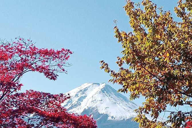 Muslim Friendly Mount Fuji Tour With English Speaking Chauffeur - Highlights of the Tour