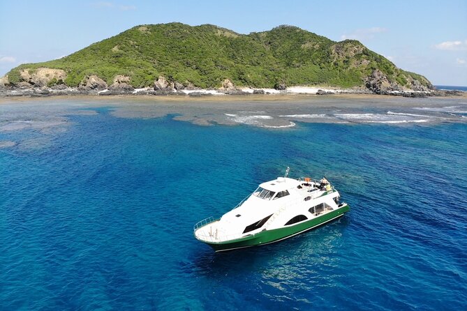 Naha: Kerama Islands Snorkeling Tour/Limited Time Whale Watching - Overall Recommendation