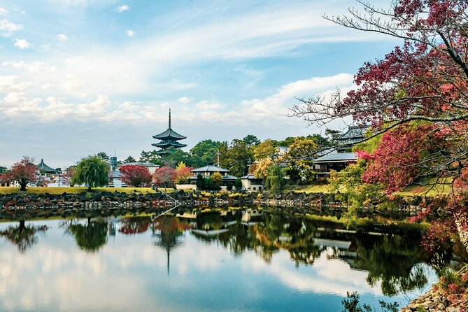 Nara Culinary Tour With a Chef! - Guided Insights From a Chef
