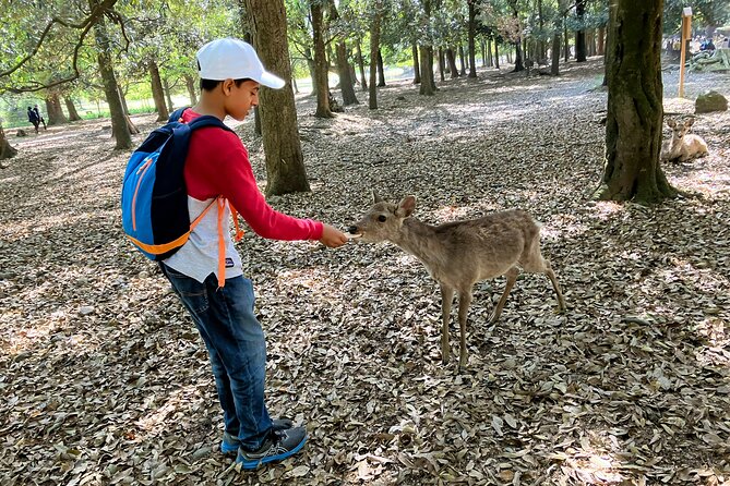 Nara Half Day Tour Discover Ancient Temples and Friendly Deer - Interacting With the Friendly Deer