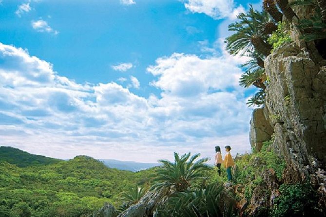 Okinawa Hip-hop Bus C Course Tour to Northern Island - Exploring the Yanbaru Forest Visitor Center and Dome Theater