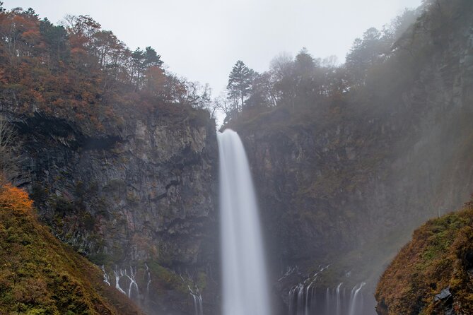 One Day Private Tour to Nikko With English Speaking Driver - Positive Feedback From Previous Travelers