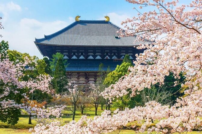 Popular Highlights of Nara Region Day Tour Departure From Osaka - Uji Natural Hot Spring Genji-no-Yu