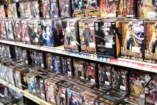 Private Car Tour for Anime Manga Game and Otaku Tour in Tokyo - Booking Information