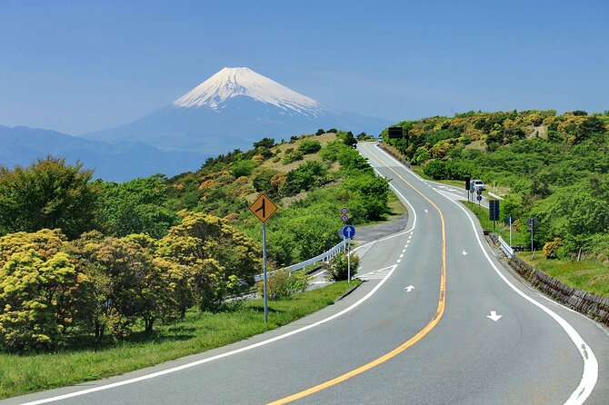 Private Full Day Tour of Izu Peninsula With Hotel Pickup - Booking Information