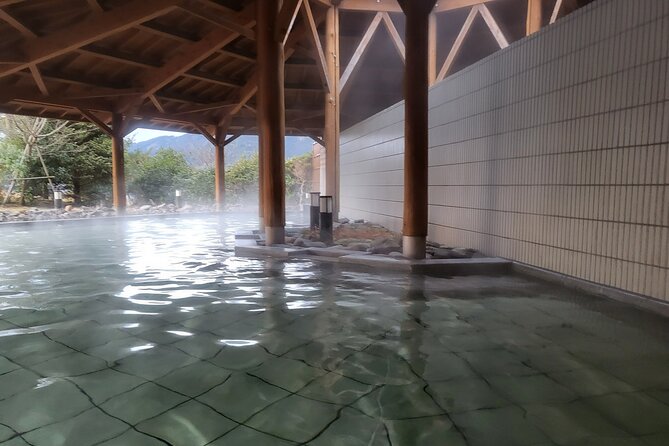 Private Hakone Tour From Tokyo - Customer Reviews and Ratings