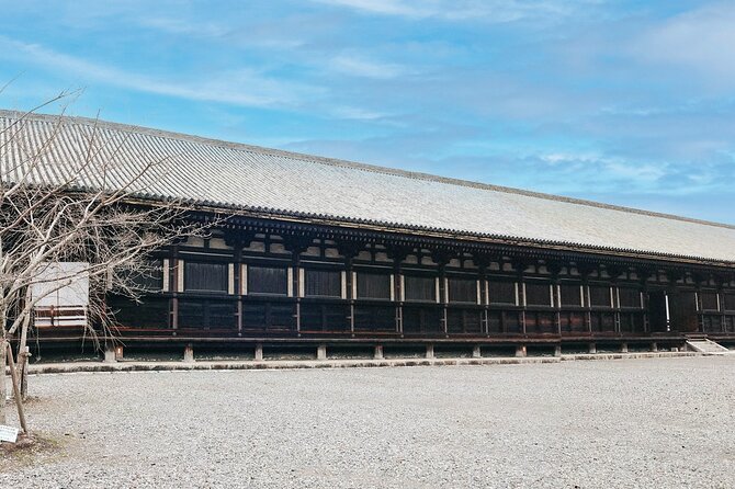 Private Japanese Ancient Tour From Kyoto to Nara - Coordination and Communication