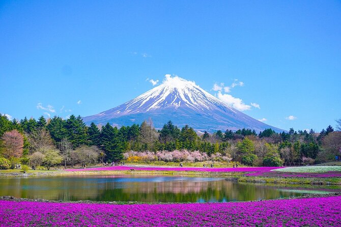 Private Sightseeing to Mt Fuji and Hakone With English Driver - What to Expect on the Tour