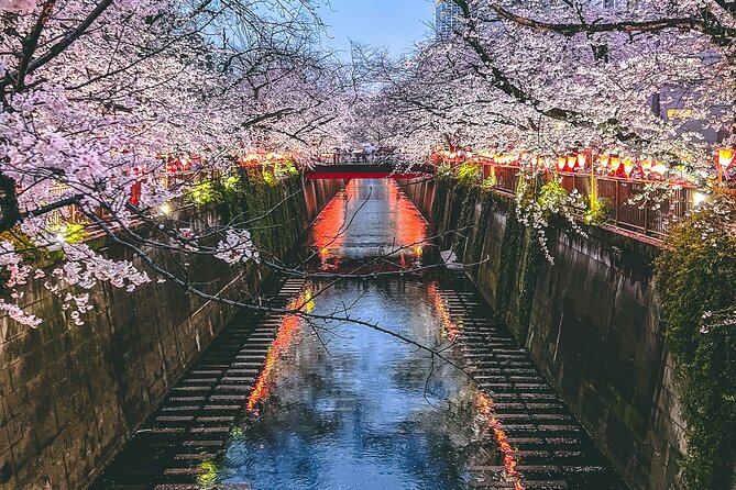 Private Tour in Tokyo With Local Guide - Inclusions and Fees