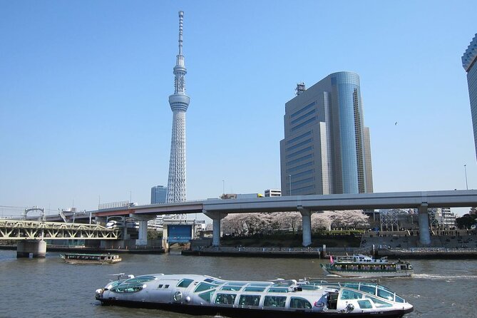Private Transfer for Custom Day Tour in Tokyo - Itinerary Highlights