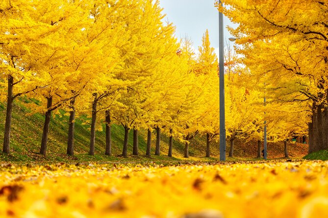 Sapporo Privete Tour: Royce Town, Autumn Foliage, Sunset Viewing - Royce Town Experience