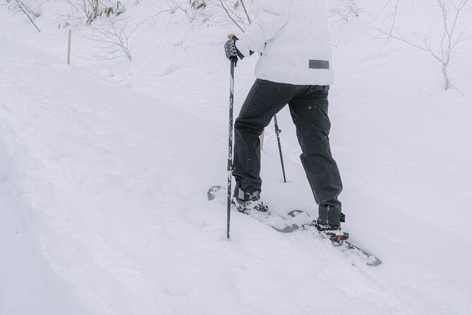 Shared Snowshoe Hiking Tour in Semboku - Exploring the Winter Wonderland