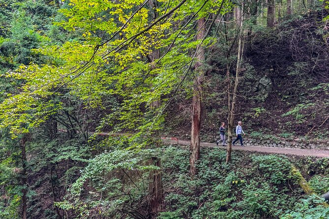 Snow Monkey Park Private Tour From Tokyo With Licensed Guide - Meeting Point and Transportation
