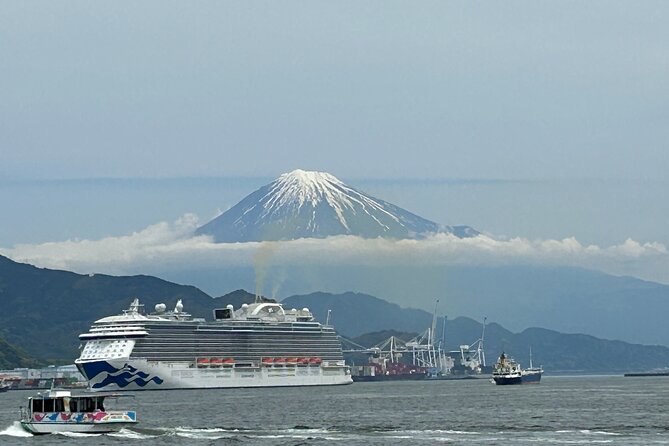 Step- Free Easy Going Tour From Shimizu Port / Sedan Taxi - Highlights of the Tour