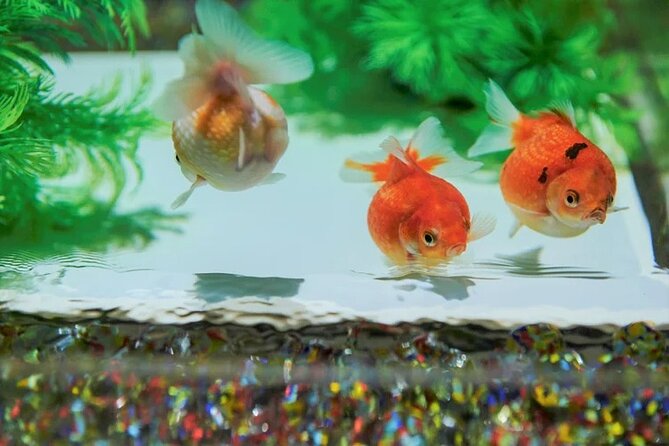 Tokyo Art Aquarium Museum E-Ticket With Optional Tokyo Metro Pass - Discover the Wonders of Goldfish