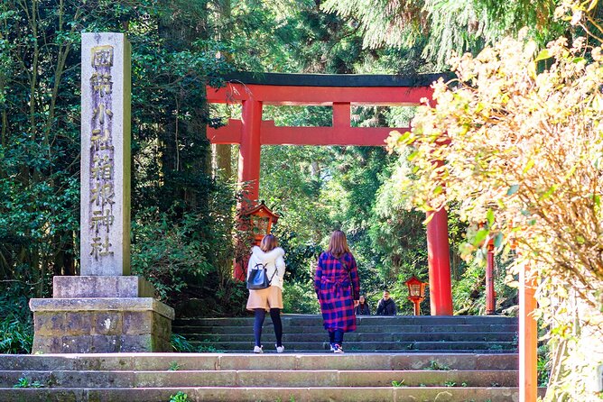 Tokyo Day Tour in Mt. Fuji, Lake Ashi Cruise and Owakudani Cable - Navigating Weather and Traffic Challenges