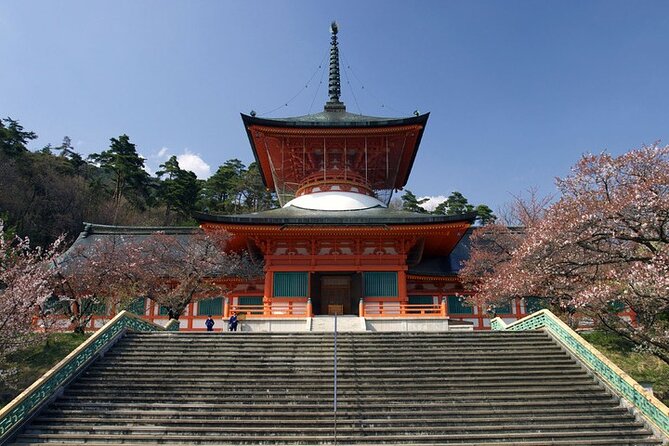 Tokyo Nagano Snow Monkey Park and Zenkoji Temple With Guide - Accessibility and Participation