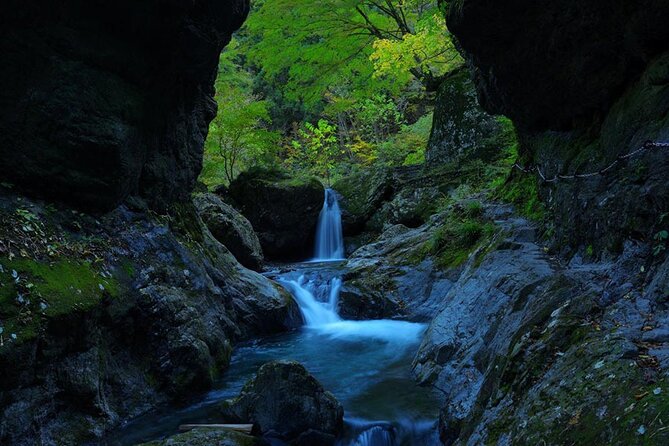 Tokyo Okutama Day Trip Tour - Participant Recommendations