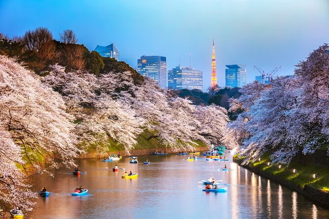 Tokyo Private Driving Tour by Car/Van With English Chauffeur - Explore the Iconic Landmarks
