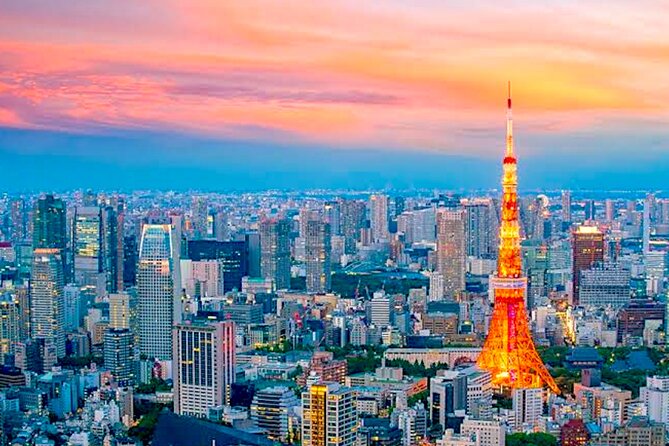 Tokyo Private Guided Tour With Hotel Pickup and Drop off - Customizing Your Private Tour