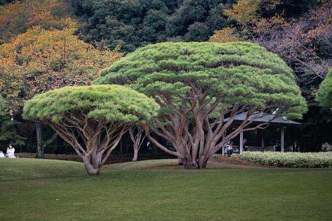 Tokyos Private Tour : From Ancient Temples to Modern Tokyo - Rated 5.0 Based on 1 Review