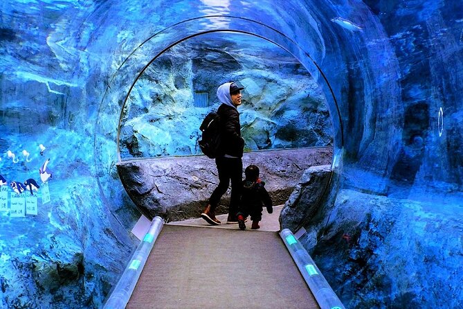 Winter Asahiyama Zoo and Blue Pond Aoi-Ike 1 Day Bus Tour - Highlights of the Blue Pond Aoi-Ike