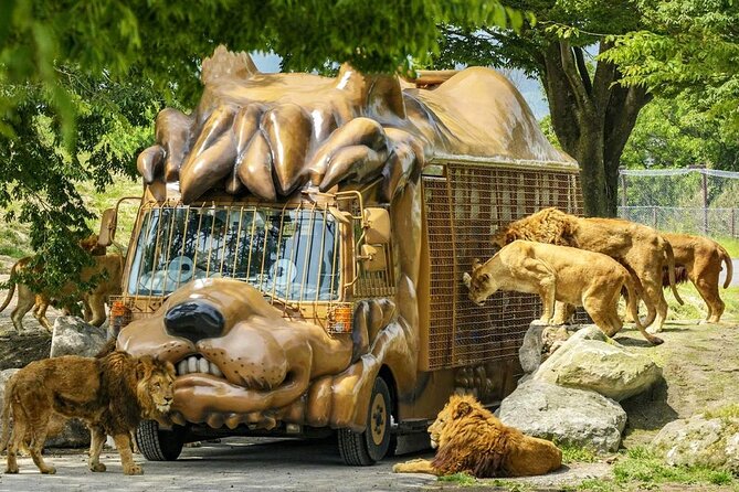 Yufuin Kinrin Lake Sea Hell Hot Springs Kyushu Zoo From Fukuoka - Transportation and Accessibility