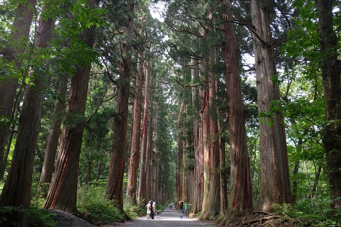 1-Day Togakushi Tour: Soba Making, Ninja Town, and Hidden Shrines - Good To Know