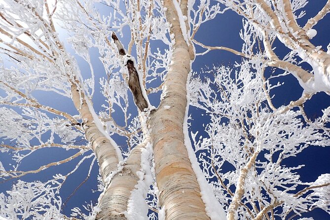 4-Day Luxury Tohoku Snow Retreat: Appreciate the Stillness - Forge Unforgettable Memories