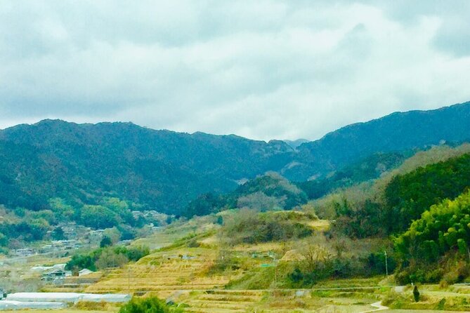 Asuka Private Full-Day Guided Tour From Kashihara - Taking in Asukas Cultural Heritage