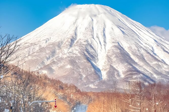 Beyond the Ordinary: Private Mount Fuji & Cherry Blossom Tour - Insights From Satisfied Customers