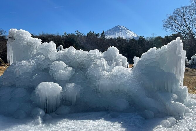 Customisable Mt.Fuji Private Day Trip, English Speaking Driver - Booking and Cancellation Policy