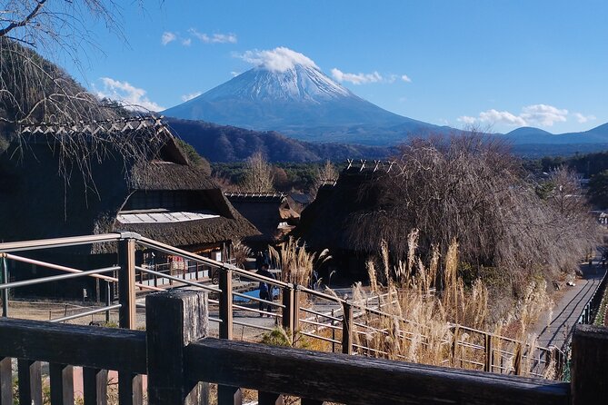 Customizable Hakone-Mt.Fuji Private Day Trip, Eng Speaking Driver - Getting the Most Out of Your Tour