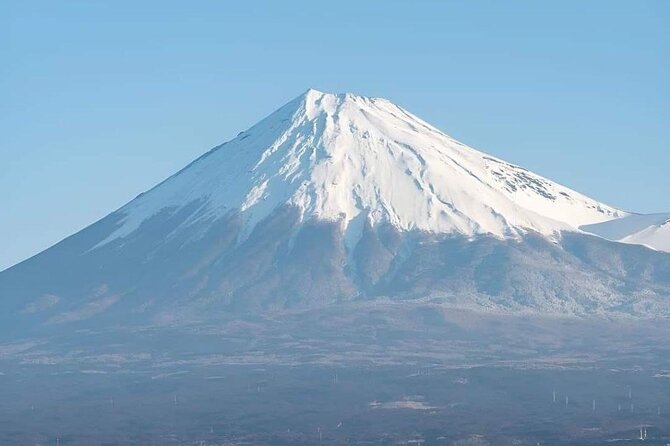 Customizable Private Tour in Mt Fuji From Tokyo by Car or Van - Traveler Reviews