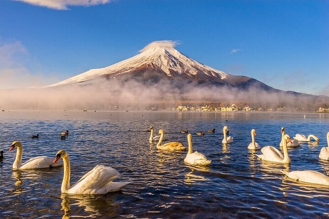Customizable Private Tour in Mt. Fuji With Private Driver - Reviews and Testimonials