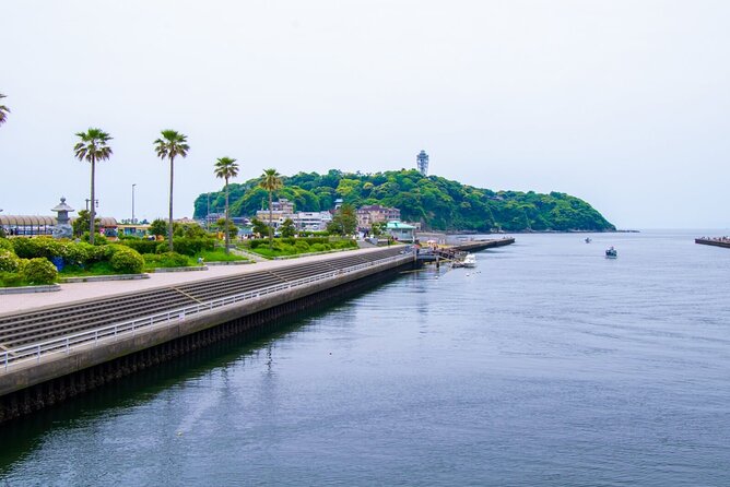Day Trip to Kamakura & Enoshima: Shrines, Seaside, Temples & Tea - Returning to the Meeting Point