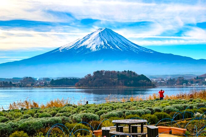 English Guided Mt. Fuji and Lake Kawaguchi Group Tour - Reasons to Book This Tour
