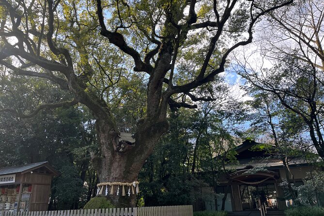 Explore Nagoya : Private Customizable Tour - Getting the Most Out of Your Experience