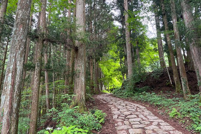 From Nagoya: Nakasendo Trail With Cultural Experience & Transport - Cultural Immersion Experience