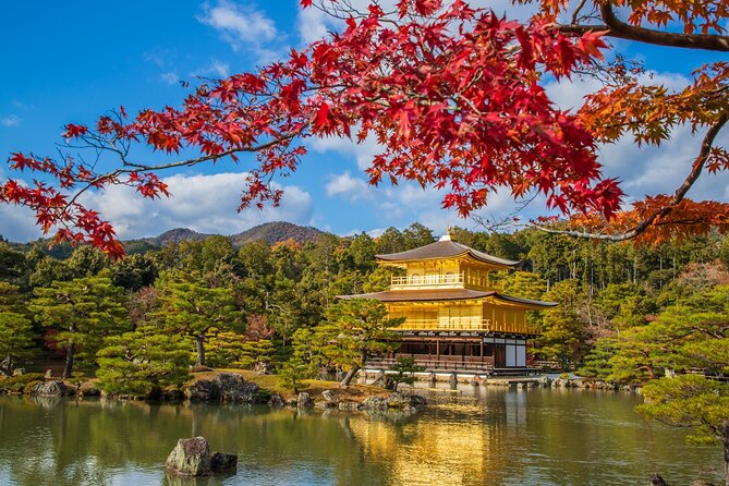 From Osaka-Kyoto: Kyoto and Nara 1Day Bus Tour - Transportation and Accessibility